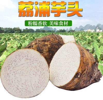 荔浦芋頭新鮮現(xiàn)挖當季香芋新鮮廣西檳榔紫藤芋頭1斤/3斤/5斤/9斤