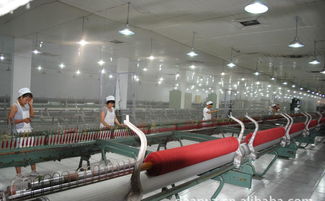 高檔精品時尚品牌羊絨衫誠招代理加盟，廠家直供，優價共贏